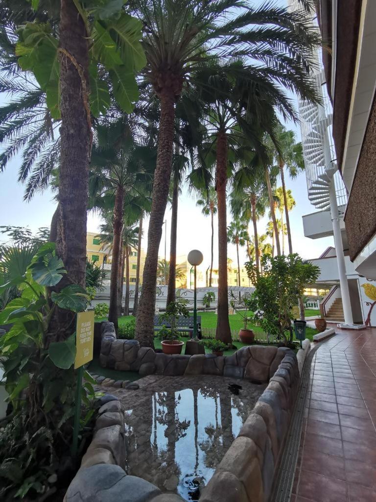 Vanilla Milkshake Apartment Playa del Inglés Eksteriør billede